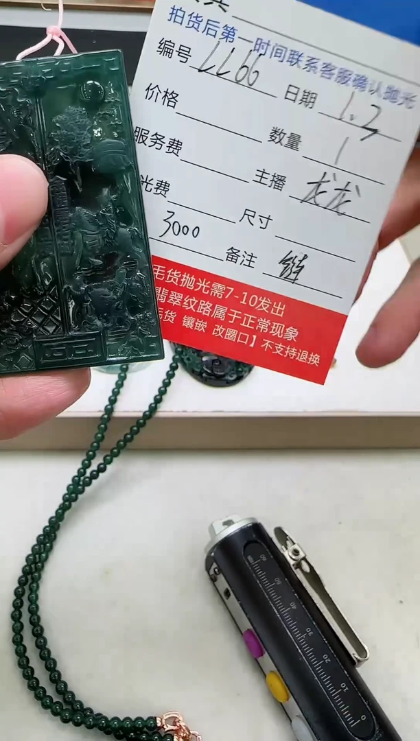 未镶嵌定制翡翠LL66翡翠吊坠赠珠链-多样性发其一
