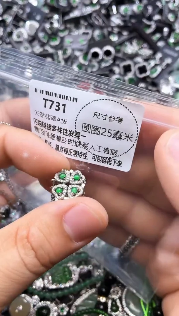 翡翠未镶嵌颈饰T731项链