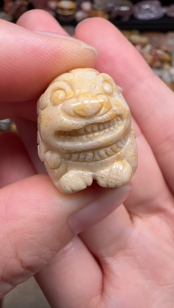 硅化珊瑚（珊瑚玉）未镶嵌颈饰437