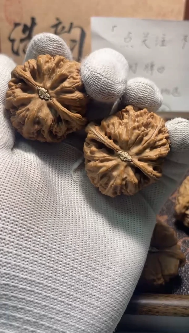 吊坠文玩核桃8号——粗筋（卡43）