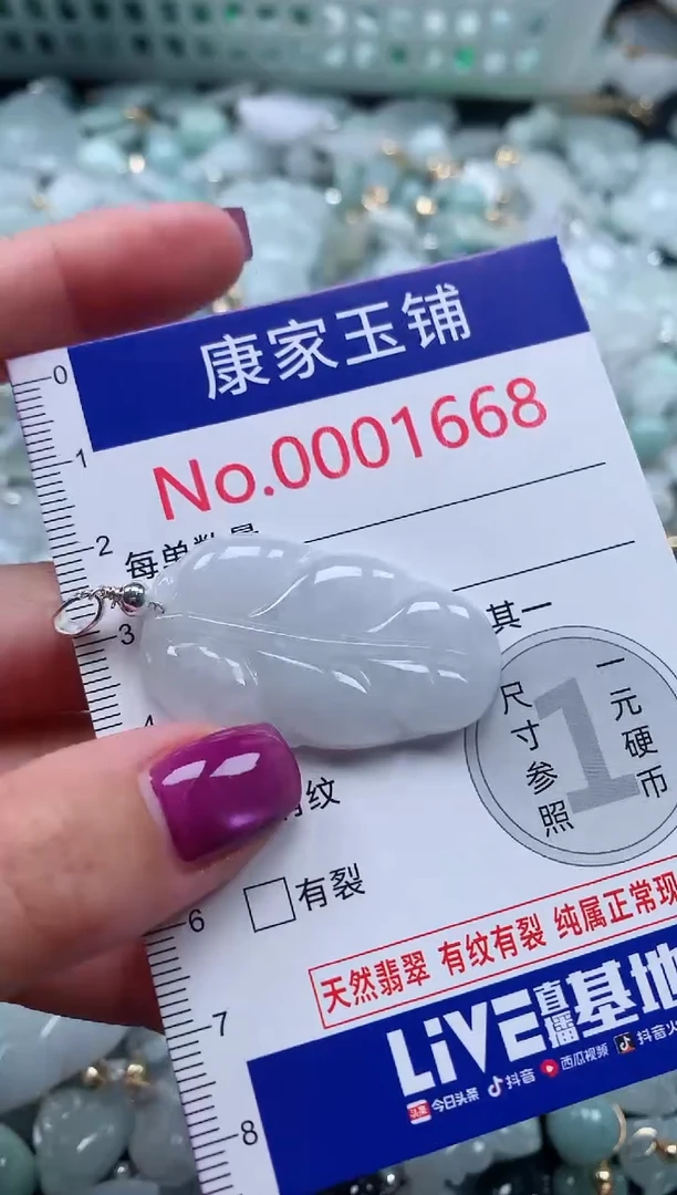 颈饰未镶嵌翡翠1668