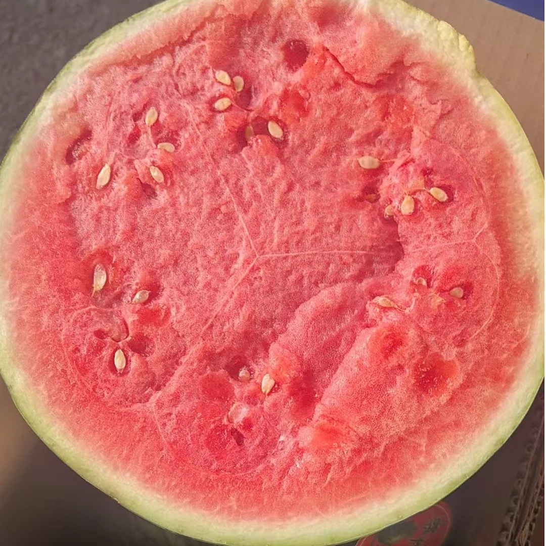 【福利次日达】美都麒麟西瓜1枚5-6斤 皮薄脆甜多汁云南省