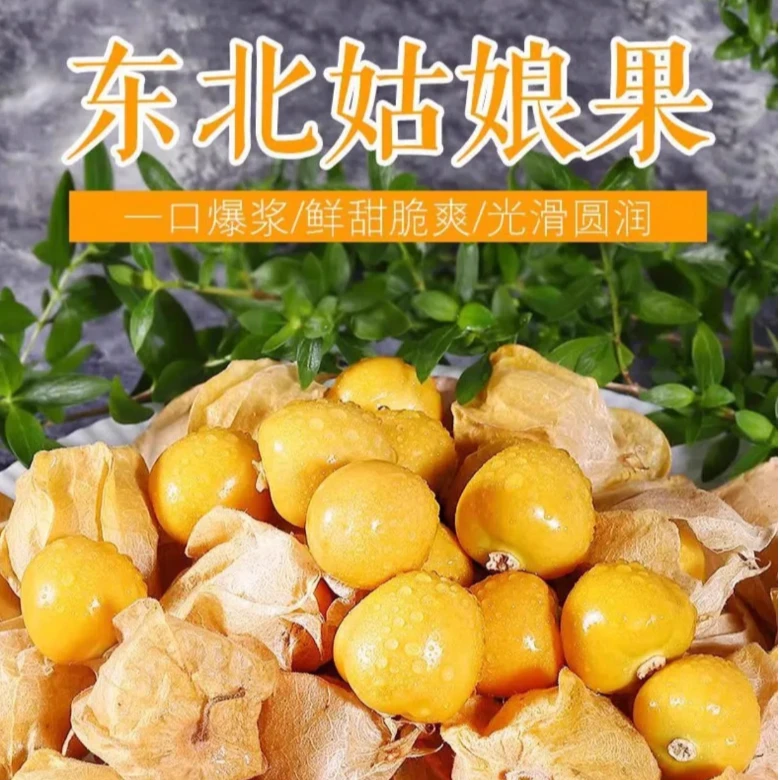 （顺丰冷链）东北菇娘果灯笼果纯甜爆汁小金豆