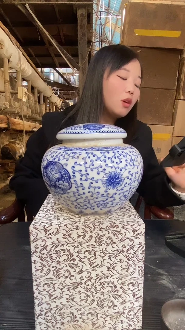 瓷片景德镇陶瓷闪购H18