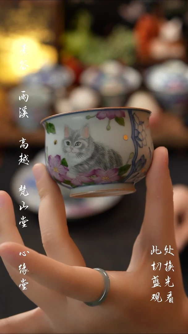 素谷猫咪主人杯素谷猫咪主人杯