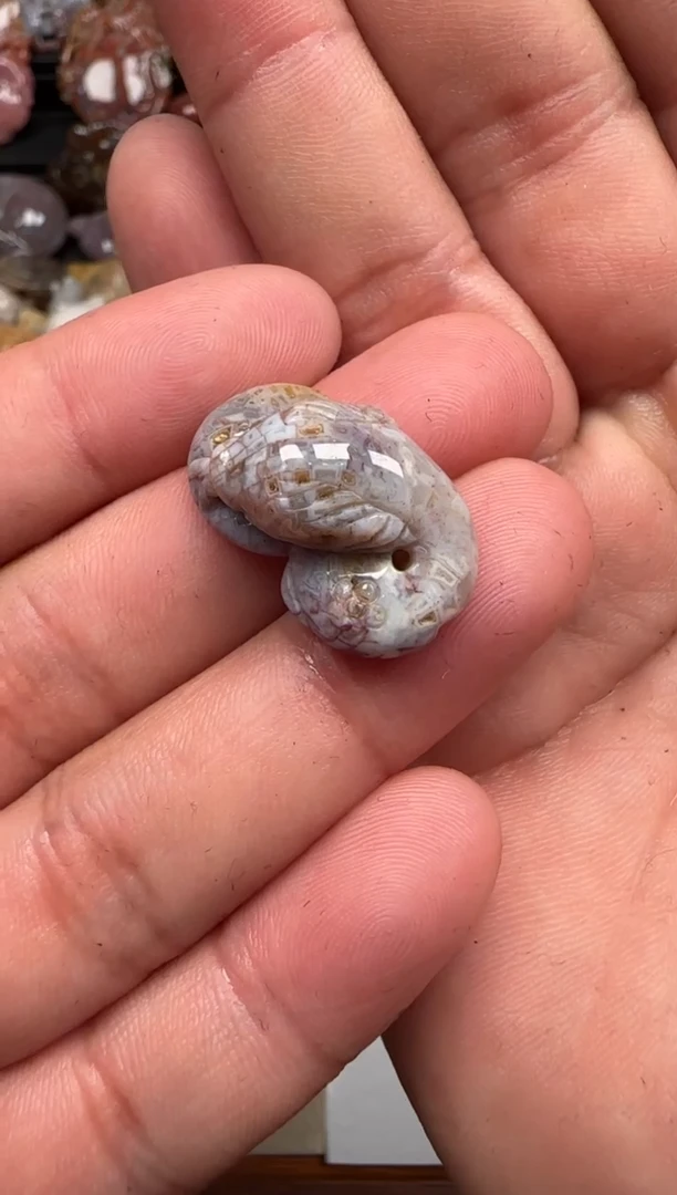 【闪购商品】硅化珊瑚（珊瑚玉）颈饰未镶嵌170