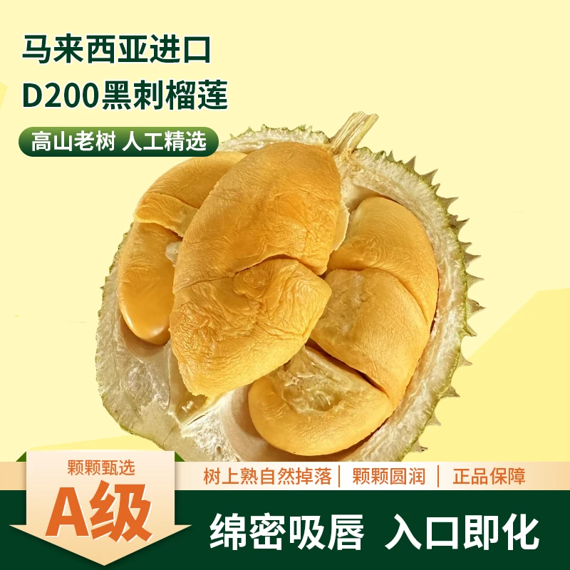 马来西亚D200进口榴莲黑刺鲜果保五房核小树上自然熟顺丰空运速递