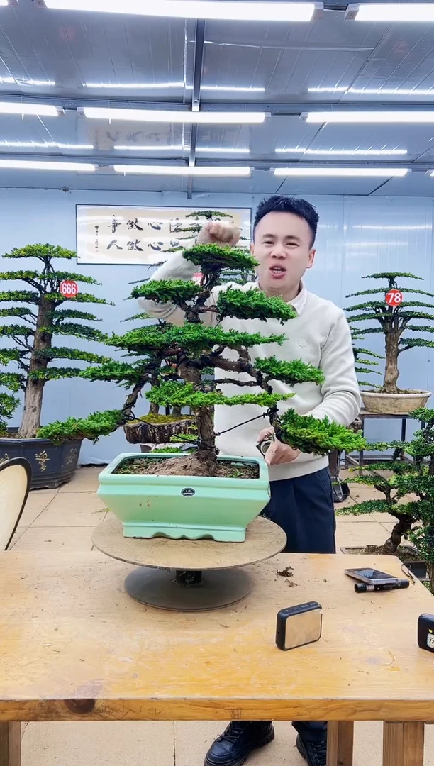 以实际为准00000000000000000000000