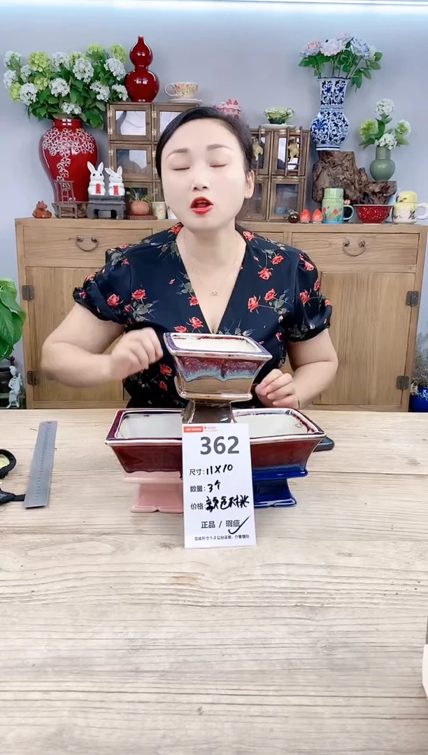 小玩子花盆直播号362