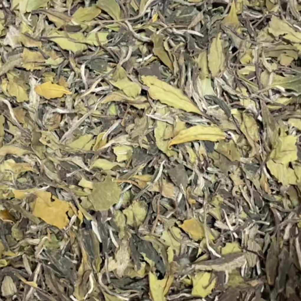 临时链接 2021年白毛茶扫把茶