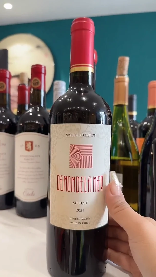 智利美乐干红原装原瓶进口损标