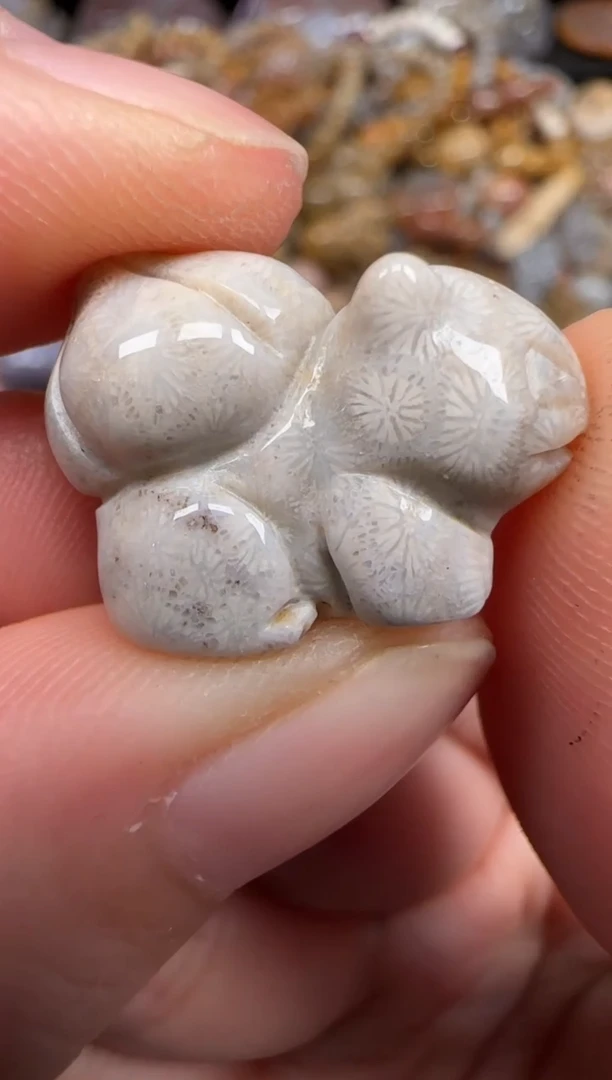 硅化珊瑚（珊瑚玉）未镶嵌颈饰441