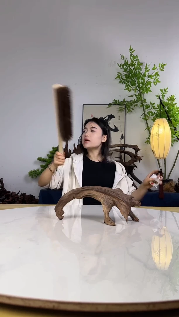 Z****?拍沉木定向链接编号35