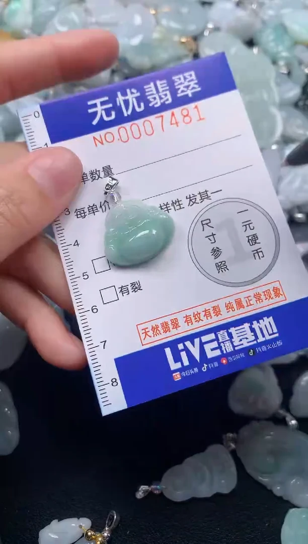 颈饰未镶嵌翡翠7481