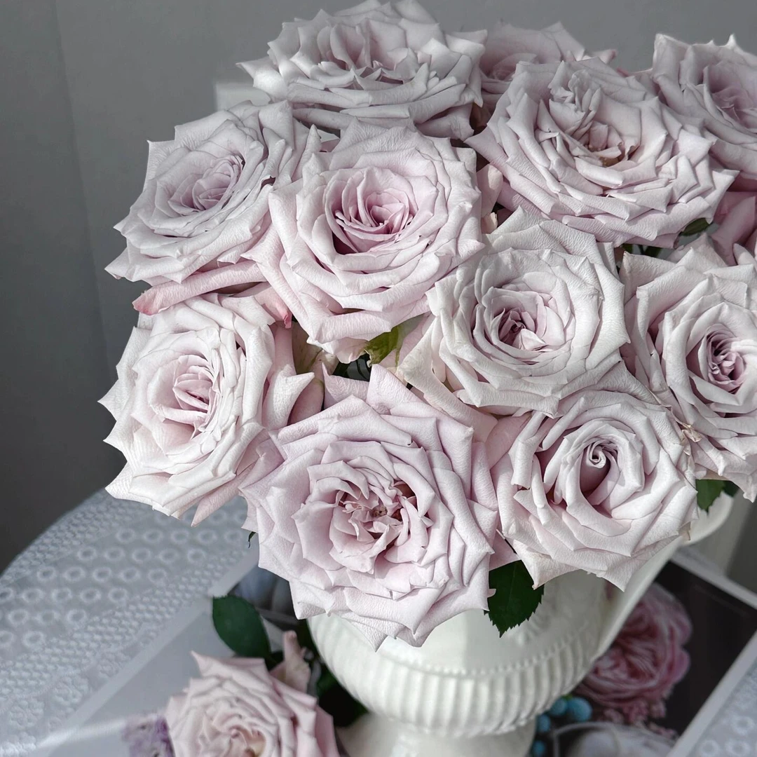 【曼塔单头玫瑰10枝】今天拍明天到，任意2单花花顺丰包邮+保鲜剂