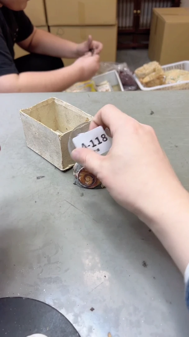 【闪购商品】瓷片118聚宝缘二号店