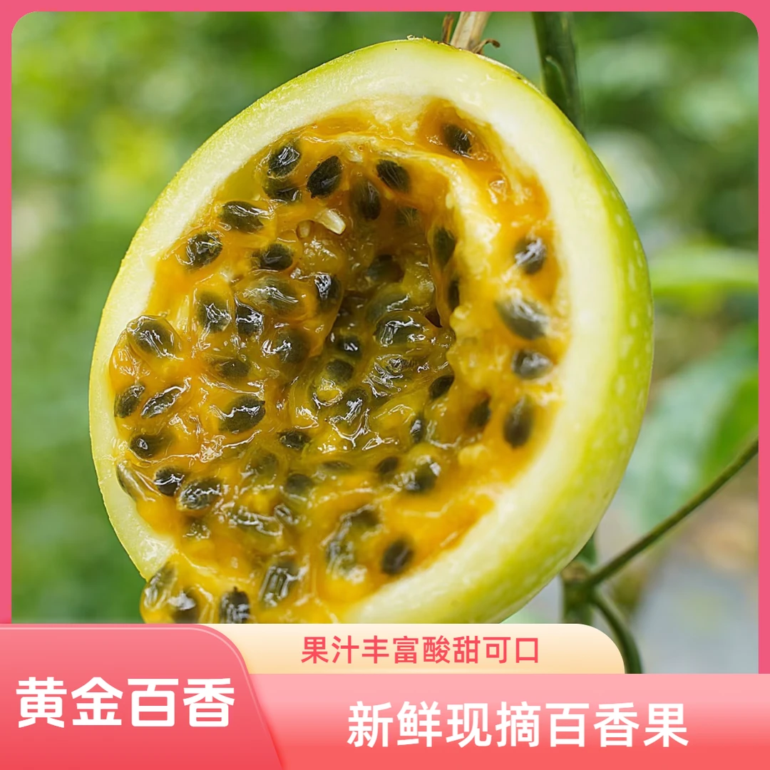 钦蜜9号百香果黄金百香果当季水果新鲜水果1/3/5百香果