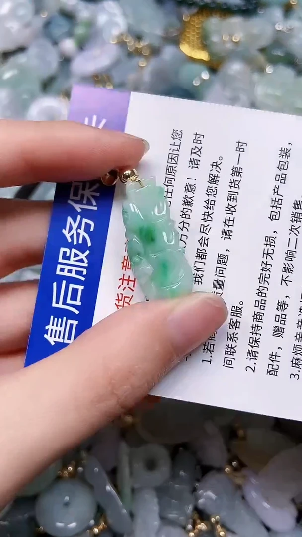 【闪购商品】翡翠颈饰未镶嵌闪购00003161