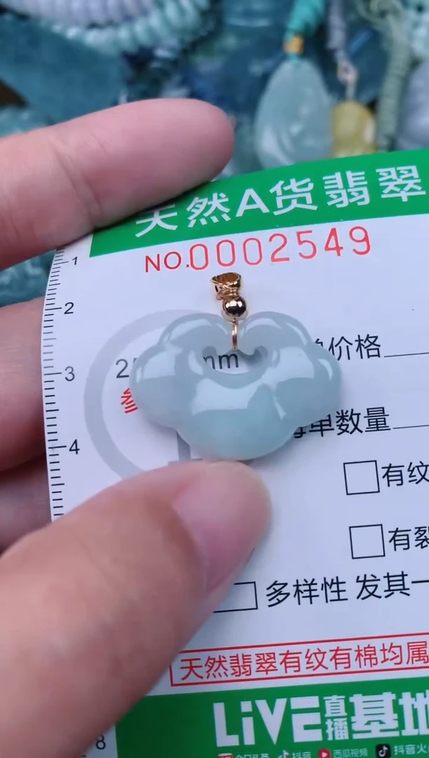 翡翠未镶嵌颈饰.0002549