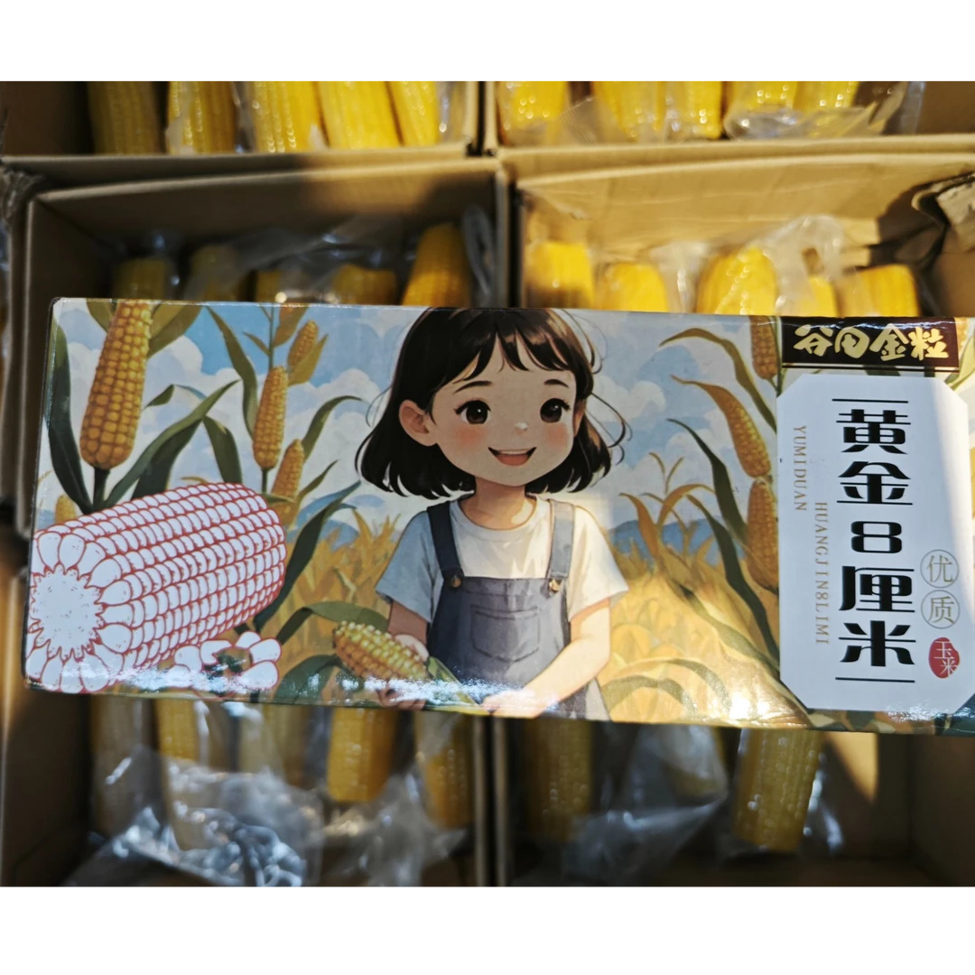 谷田金粒东北头茬黄糯玉米香甜软糯口感鲜美8厘米