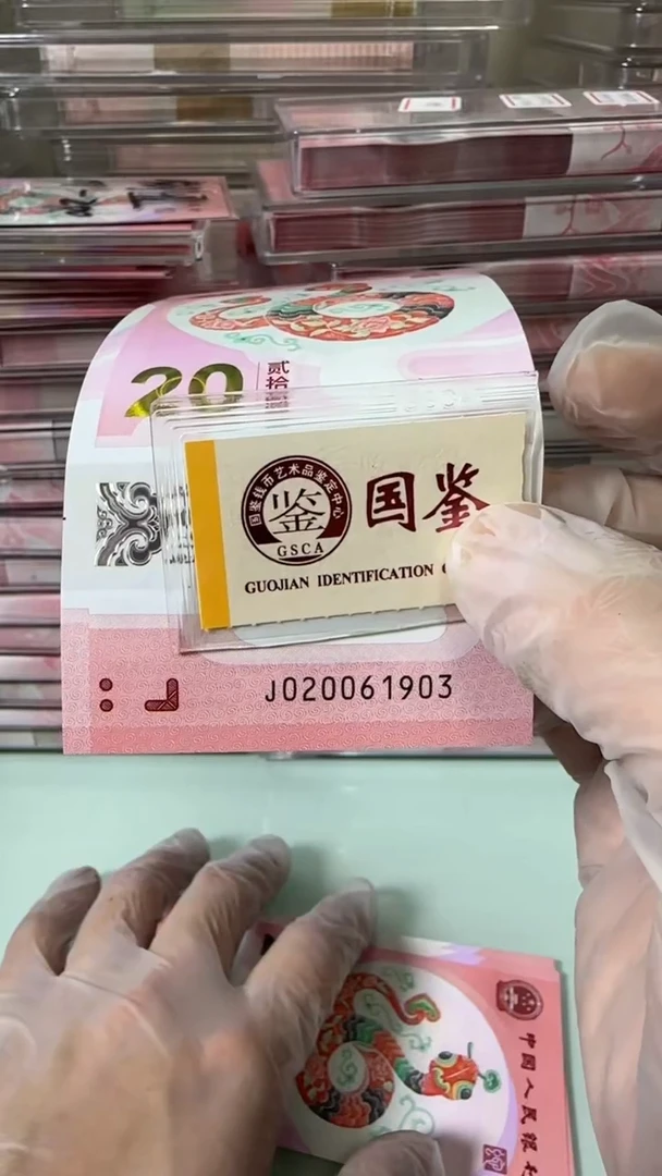 【闪购商品】塑料20061903-蛇钞单张！！