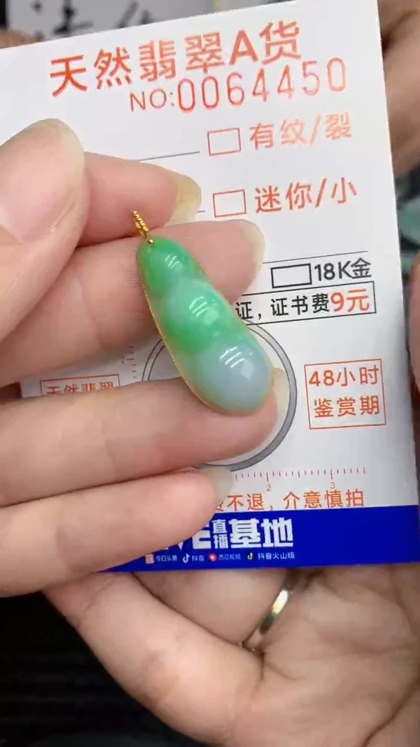 【闪购商品】翡翠颈饰18K金镶嵌            8
