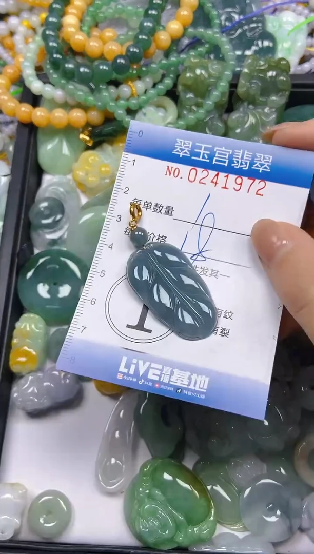 颈饰未镶嵌翡翠闪购C0241972