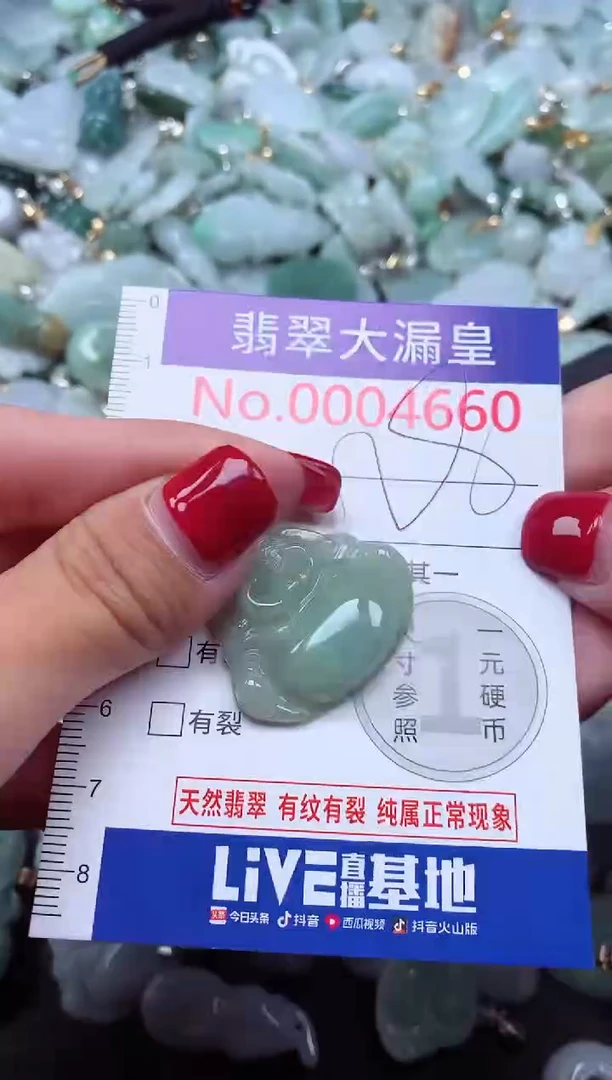 颈饰未镶嵌翡翠4660