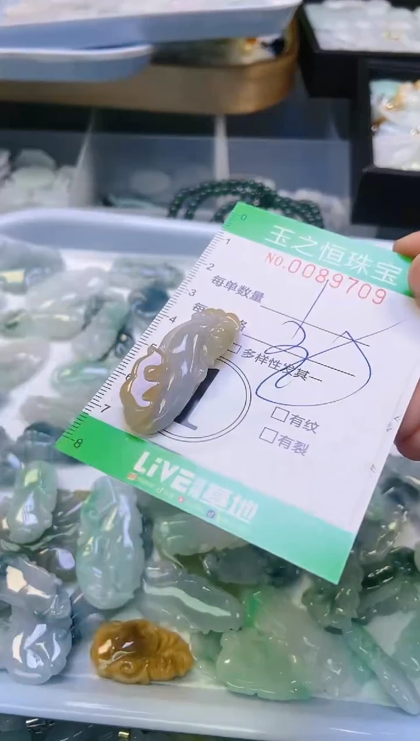 翡翠未镶嵌颈饰闪购0089709
