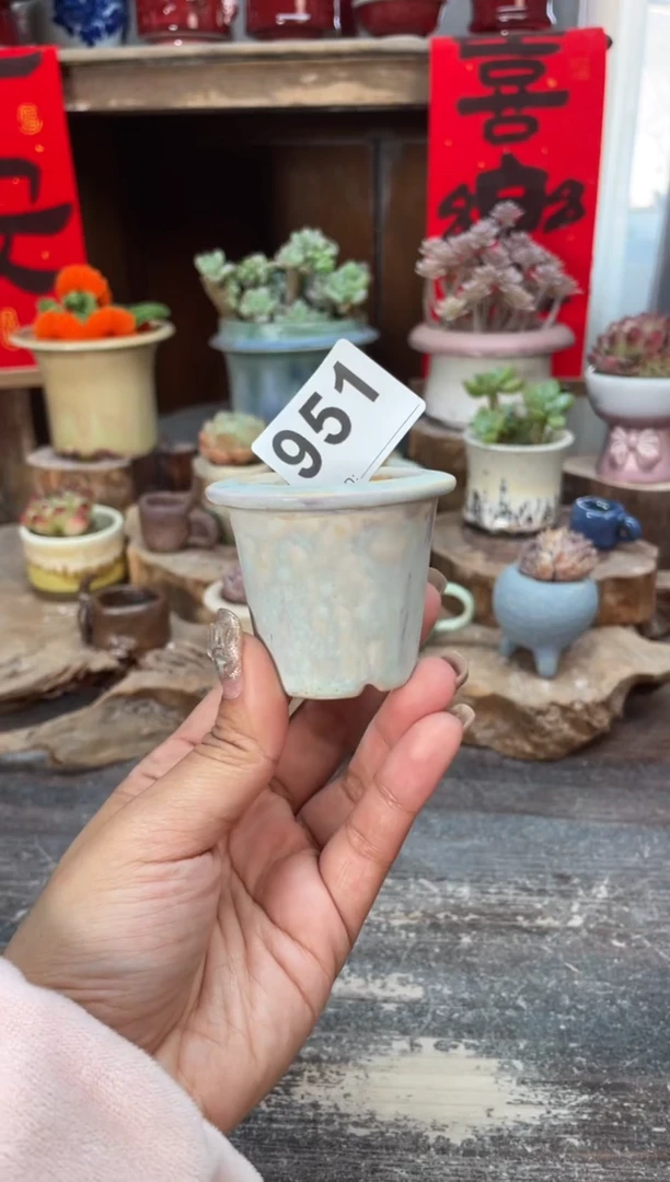 【闪购商品】摆件951知木小芳花盆