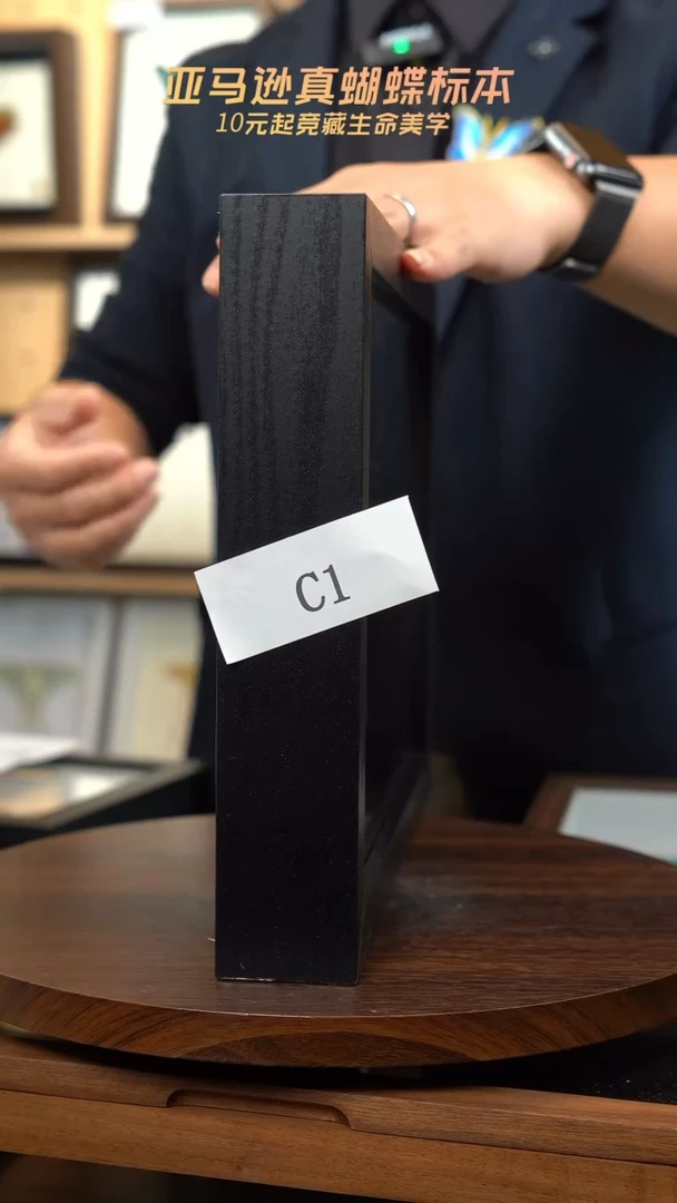 动物标本摆件竞拍c1