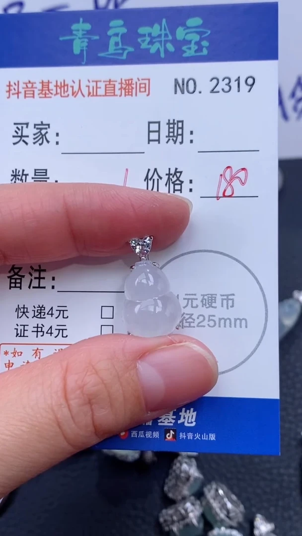 颈饰银S925镶嵌翡翠皮****记多样性发其中一件