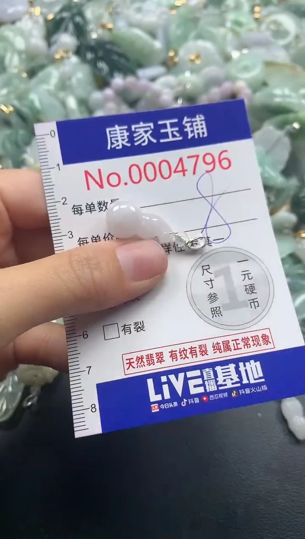 颈饰未镶嵌翡翠4796