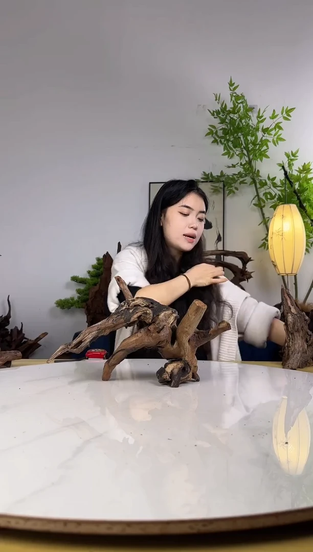 等***么拍沉木定向链接编号35