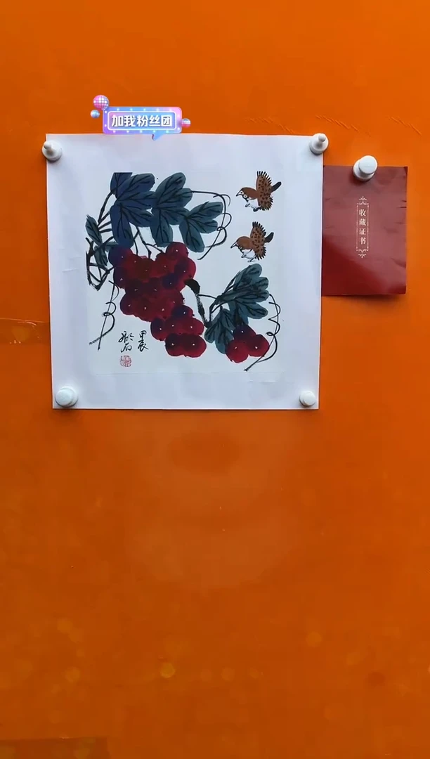 国画湖石 ：红枇杷  一平尺