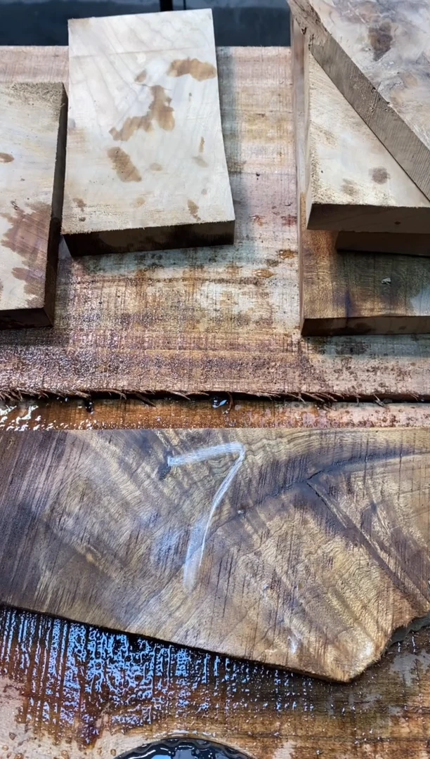 南**道金丝楠小叶桢楠1