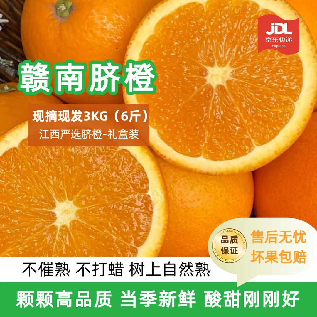 出口鲜橙  正宗赣南脐橙2025产季果园现摘现发生鲜农副产品