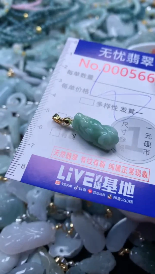 翡翠未镶嵌吊坠(不含链)5669