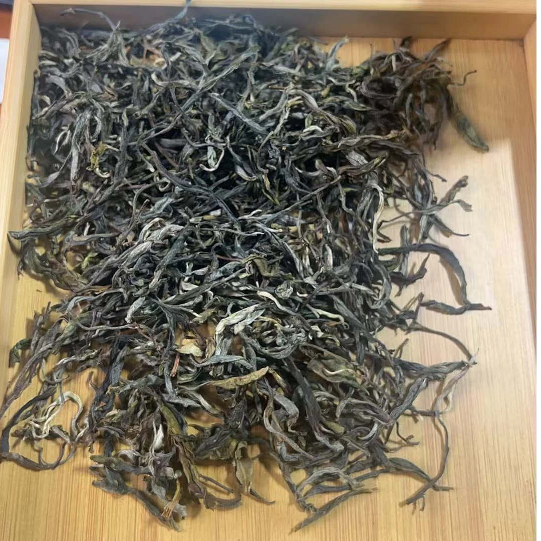 【277】2025年 邦东后山 荒野古树 云南绿茶 散茶