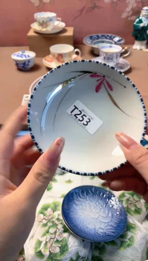 瓷片瓷器瓷器T253