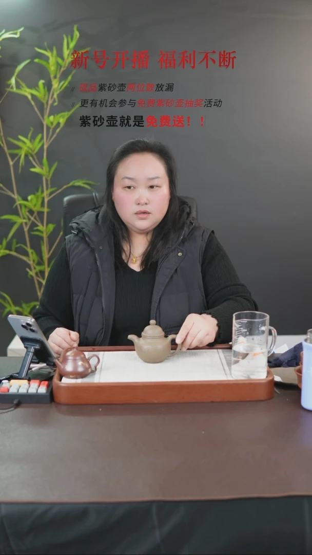 【闪购商品】段泥茶壶宜兴紫砂壶 0119  A8
