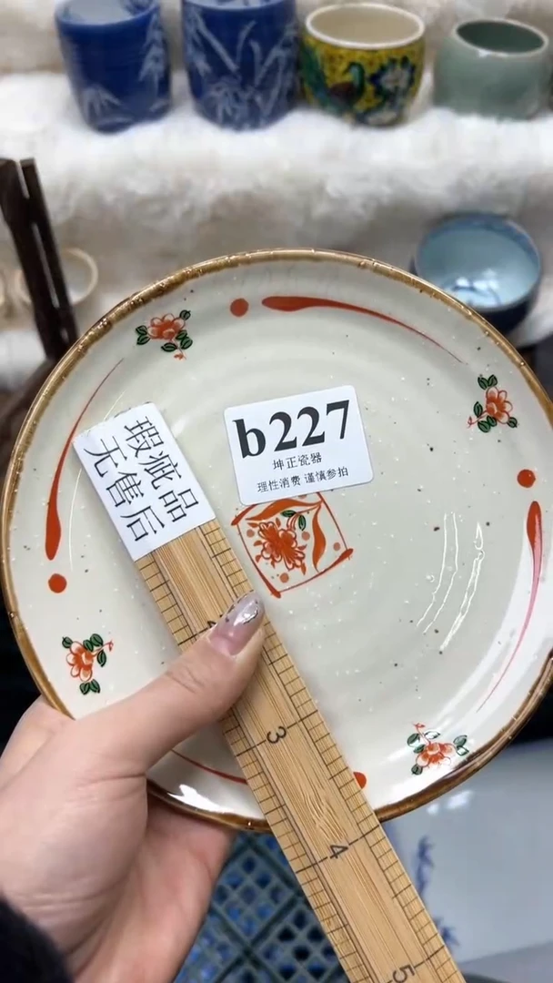 【闪购商品】瓷片          b227