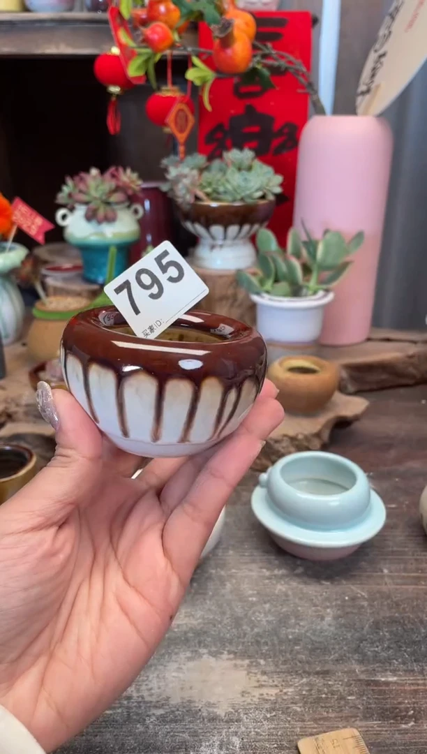 【闪购商品】摆件795知木小芳花盆