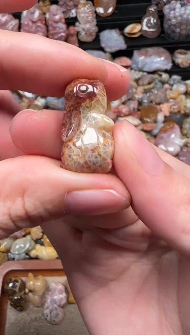 颈饰未镶嵌硅化珊瑚（珊瑚玉）409