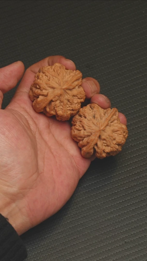 2025核桃季精品大粗筋46