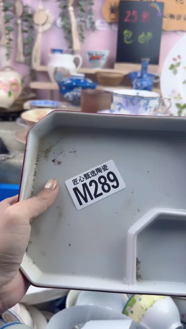 瓷片用****3      M289