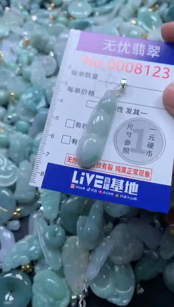 颈饰未镶嵌翡翠8123