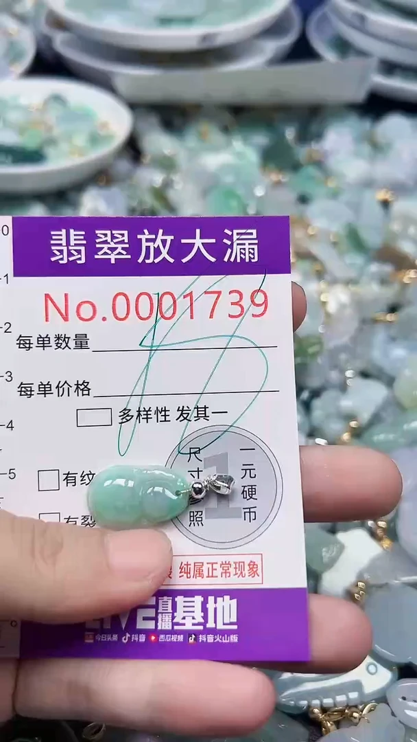 颈饰未镶嵌翡翠1739