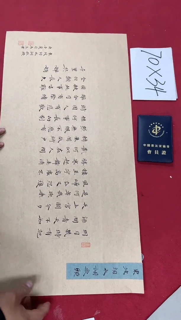 书法中书马亮老师书法作品