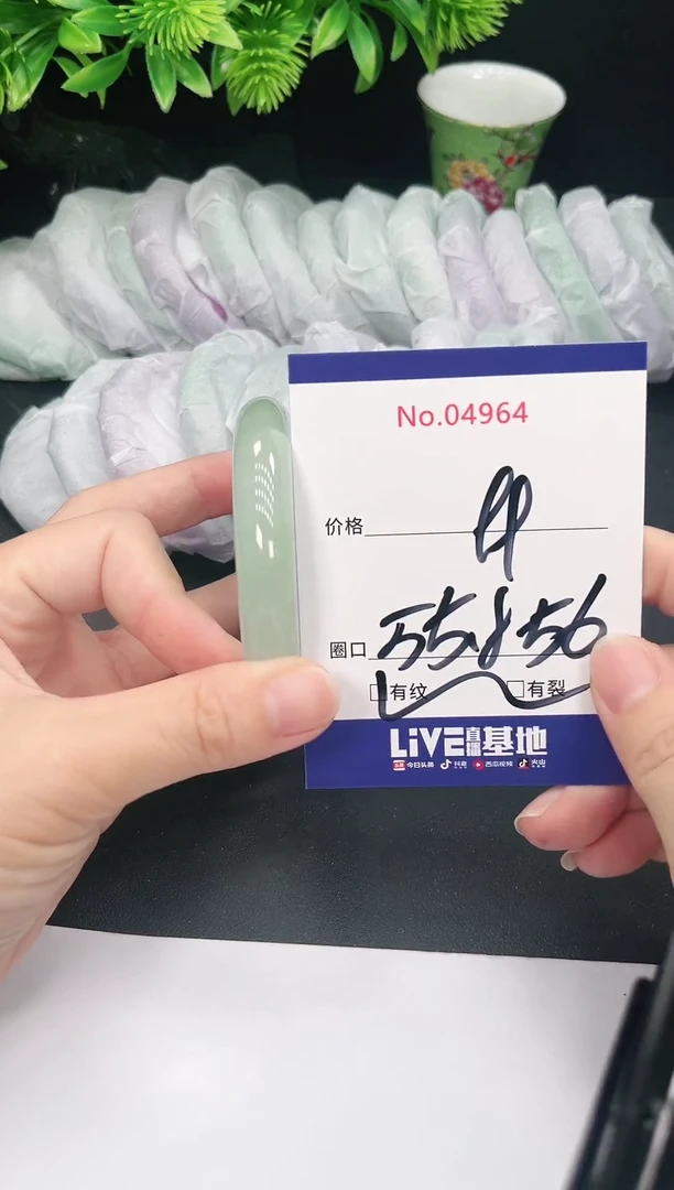 未镶嵌手镯翡翠4964